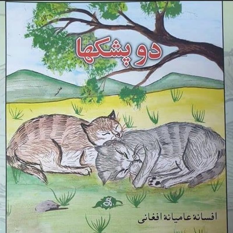 Fimage_farsi