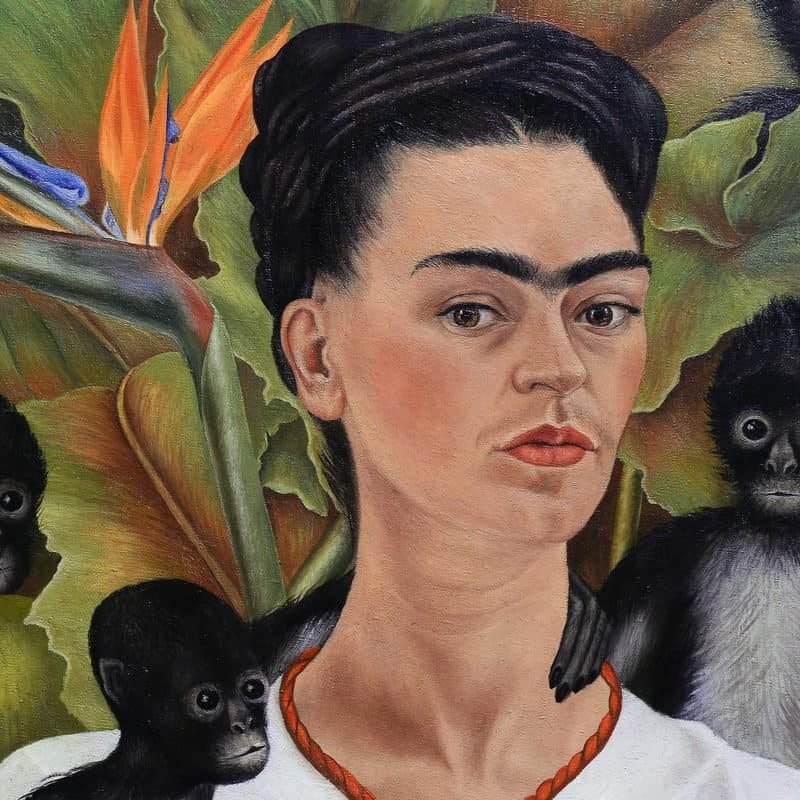 Frida kahlo 0