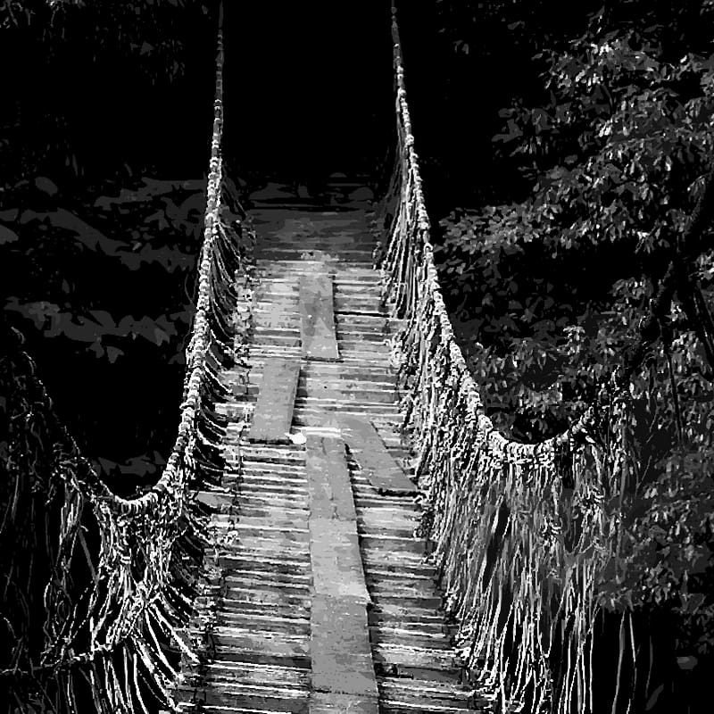 bridge 10