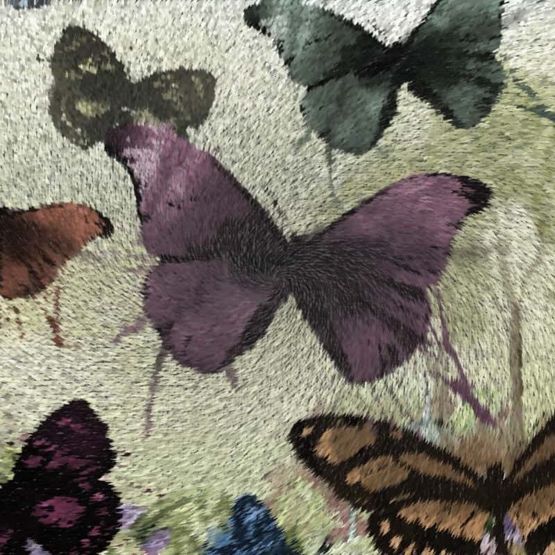 butterflies