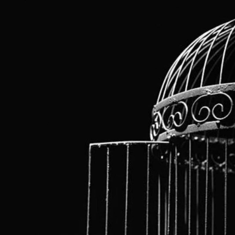cage_