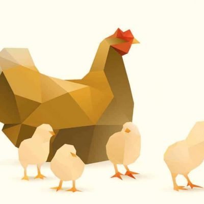 chicken_Story