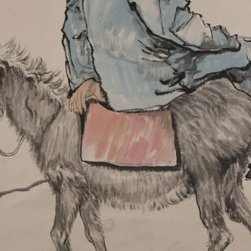 donkey