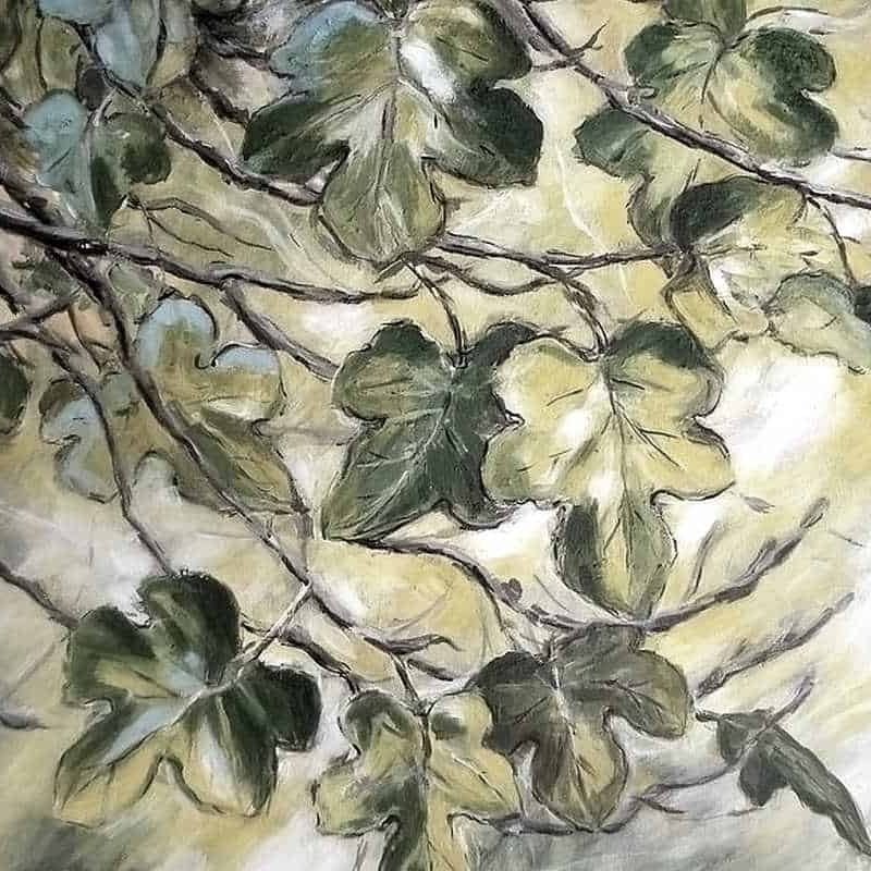 fig
