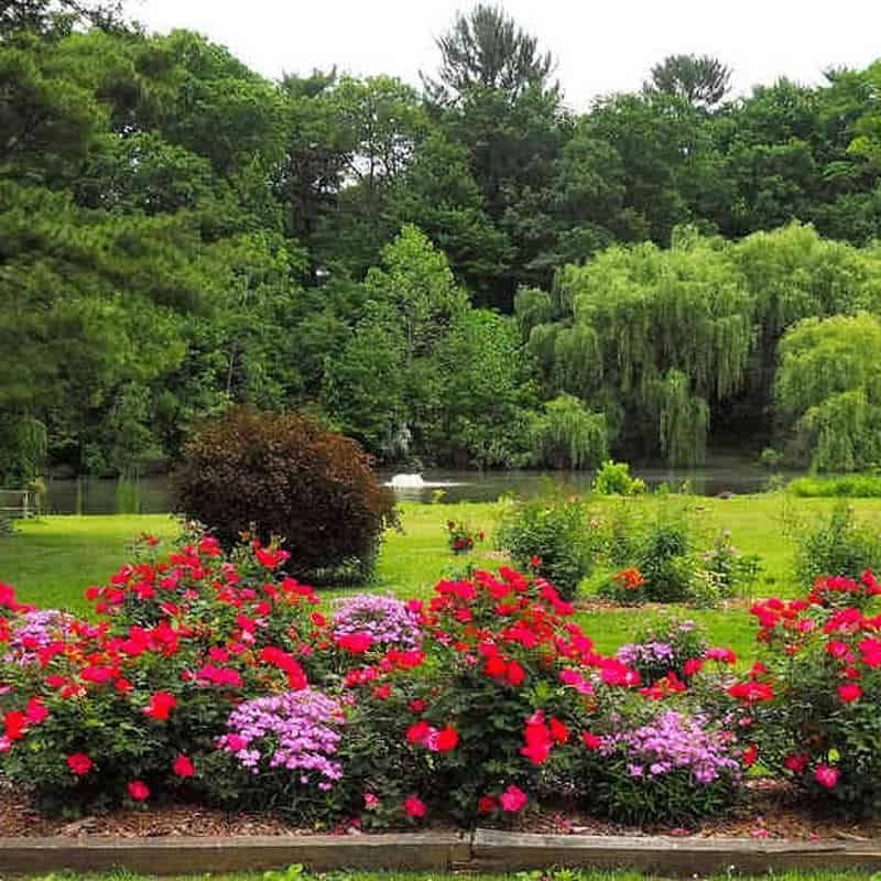 garden