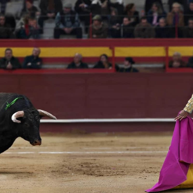 matador 2