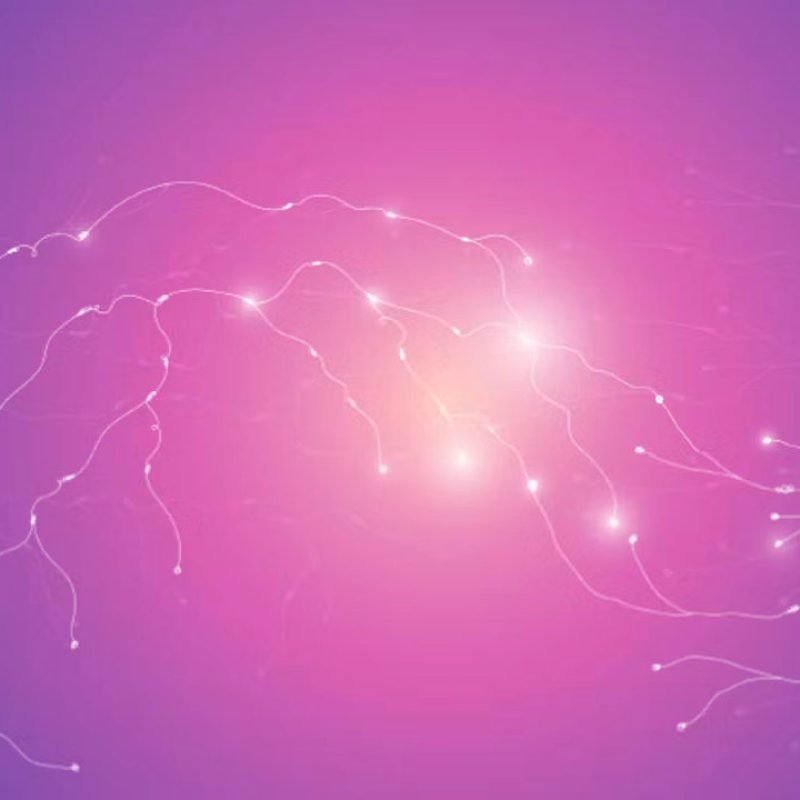 neurons