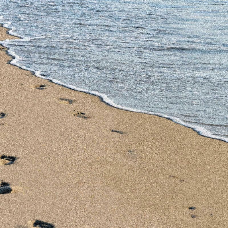 sands
