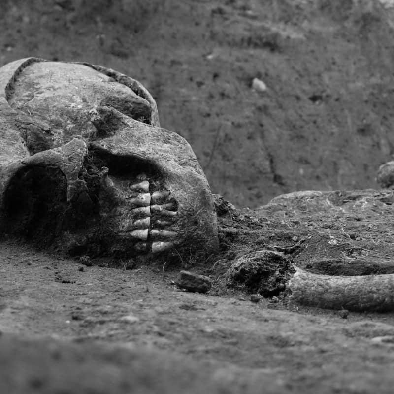 skeleton