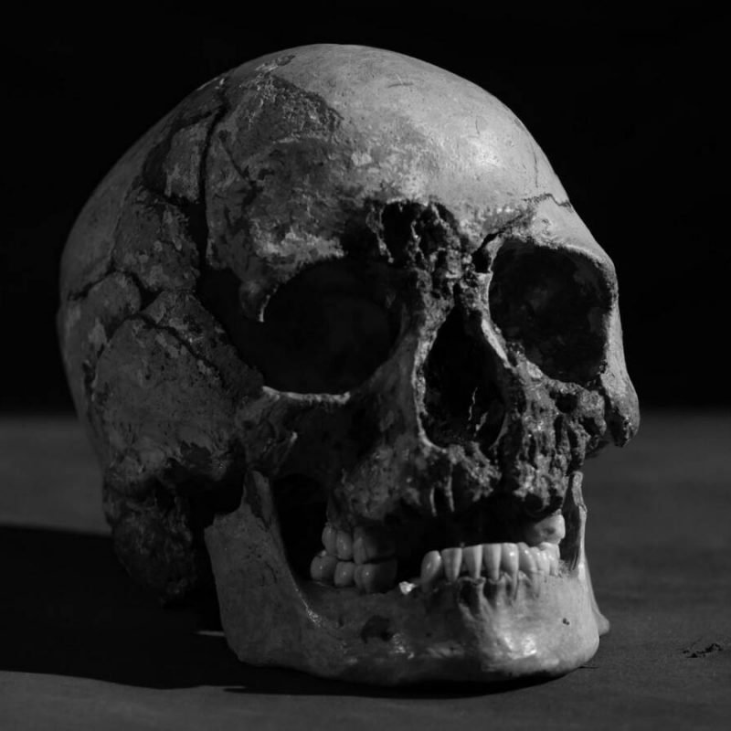 skull