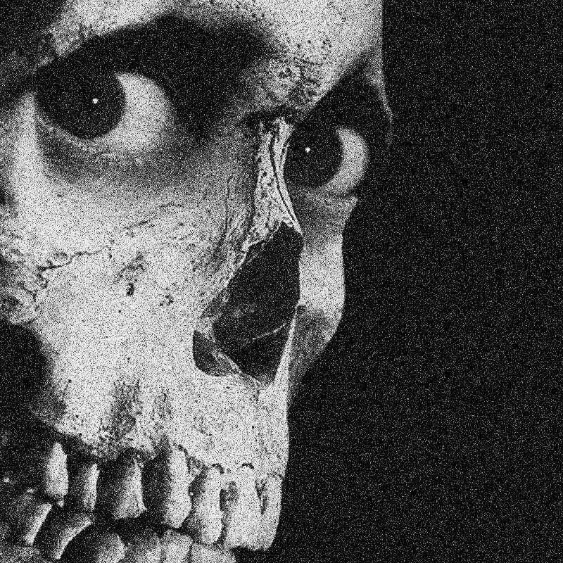 skull.2
