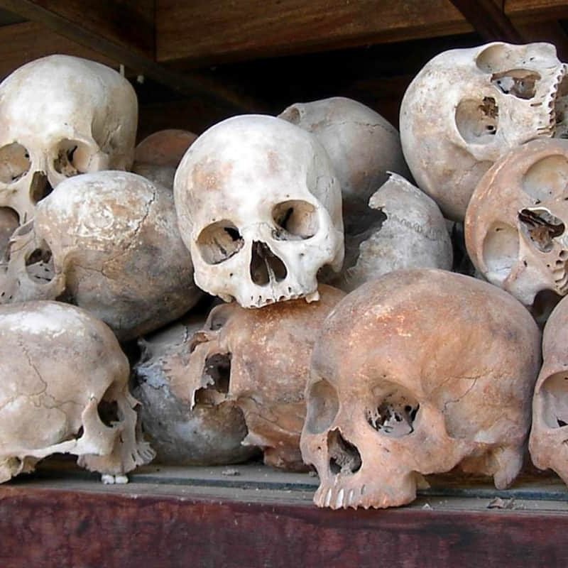 skulls