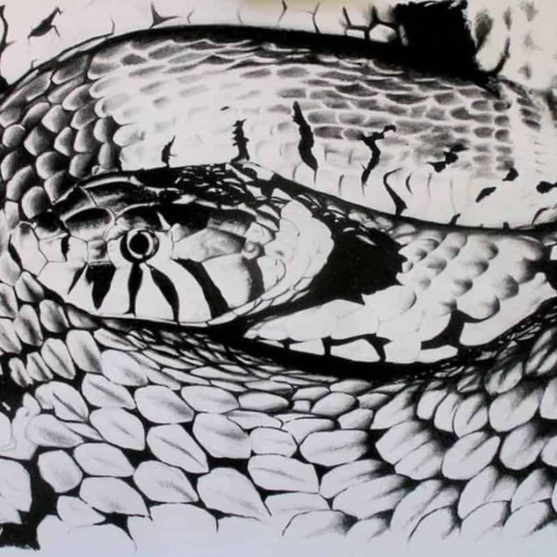 snake_eater_story