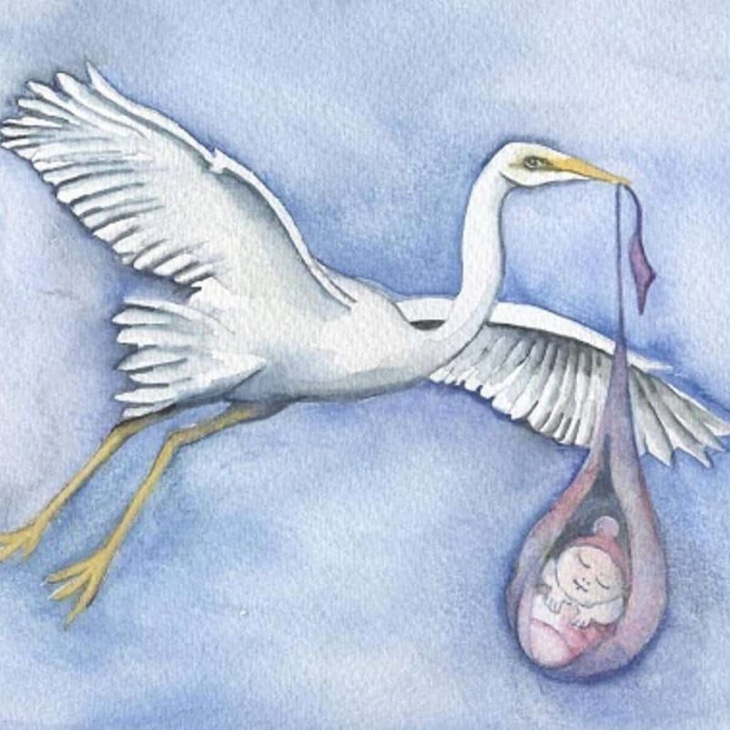 stork-baby-girl_10467_main_size3