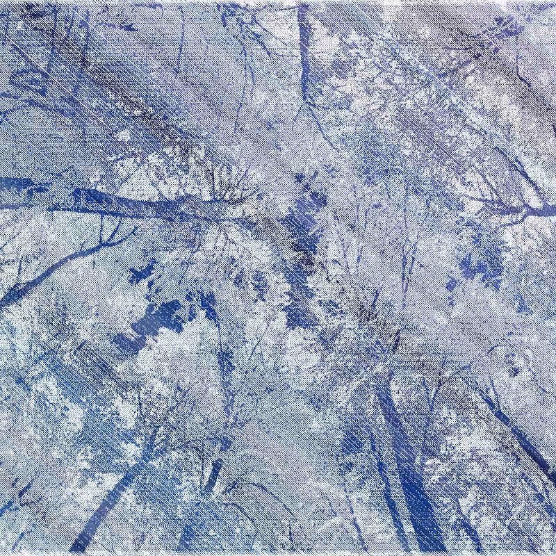 trees