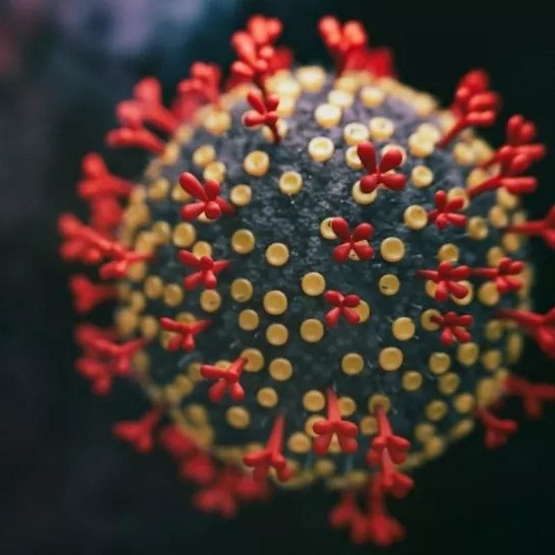 _virus