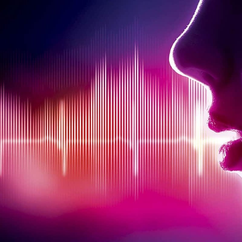 voice 2