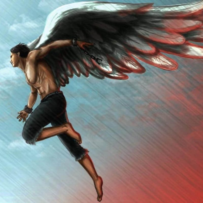 wings-